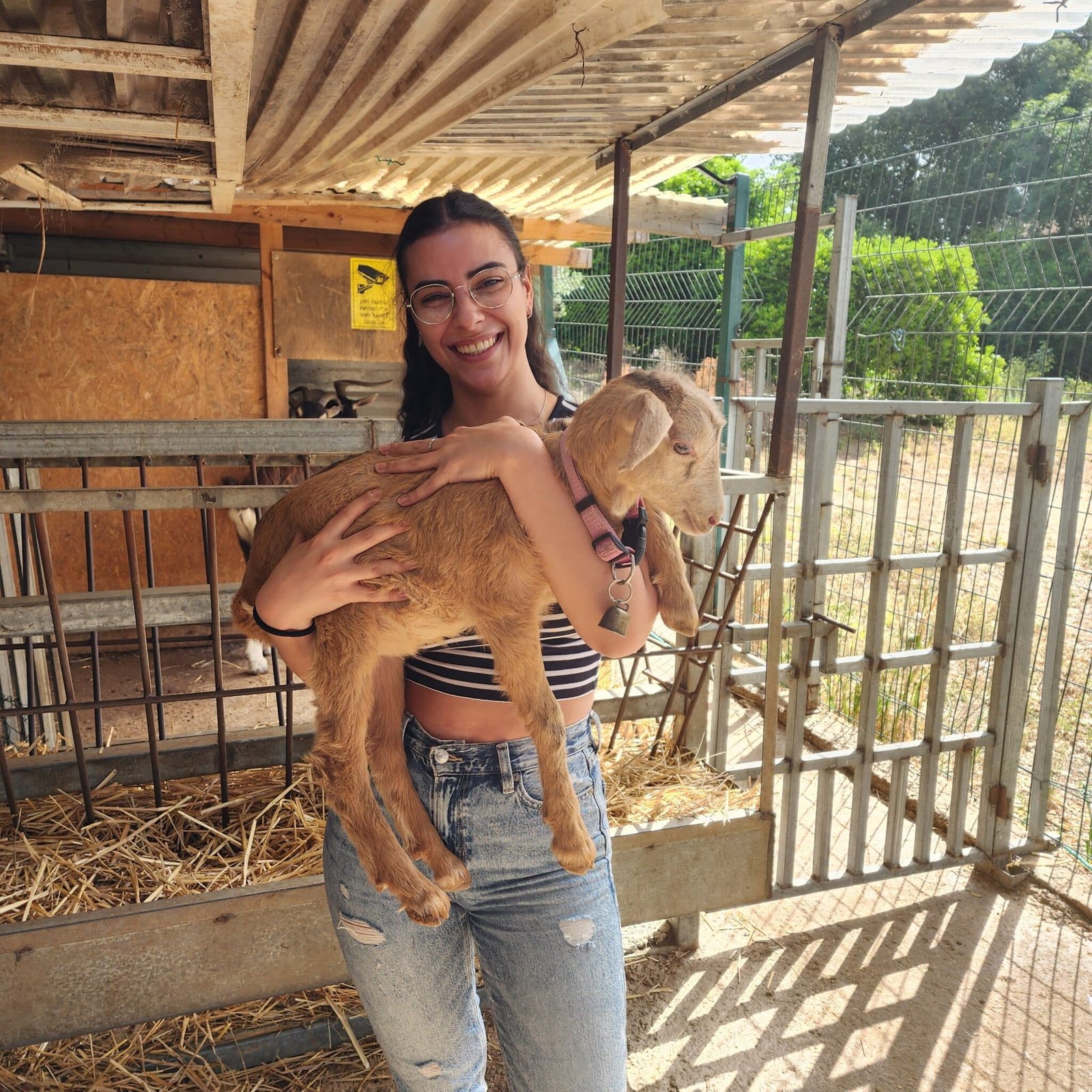 תמונה מהפסטיבל 4