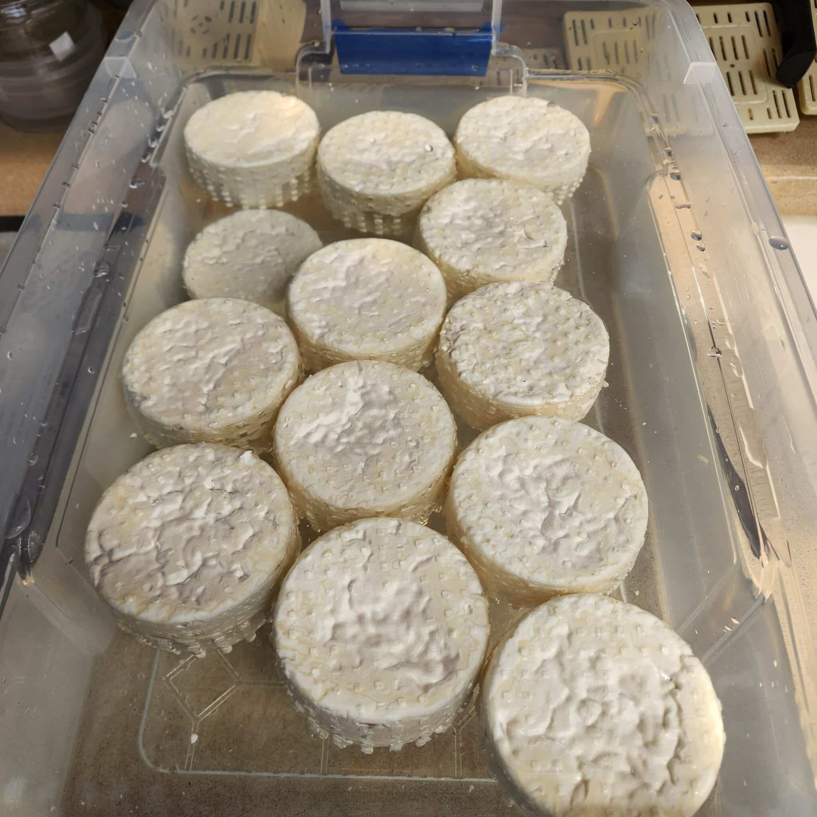 תמונה מהפסטיבל 9